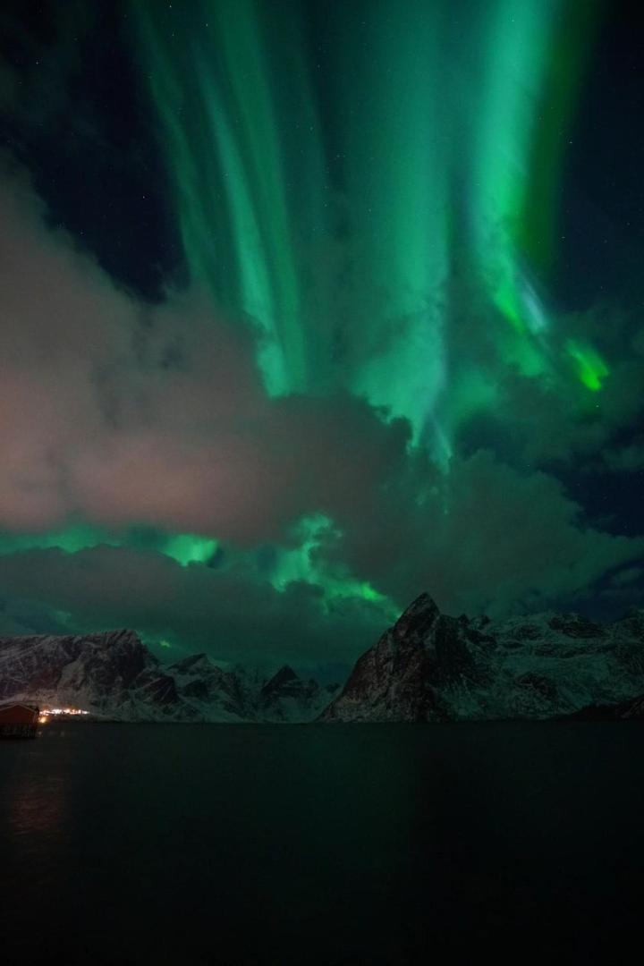 Lofoten Panoramic Luxury Home With Sauna Moskenes Bagian luar foto