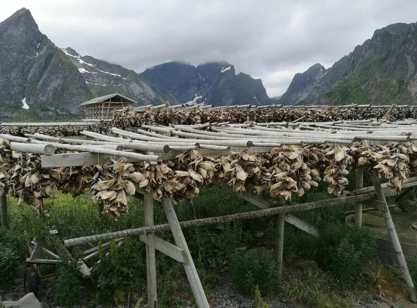 Lofoten Panoramic Luxury Home With Sauna Moskenes Bagian luar foto