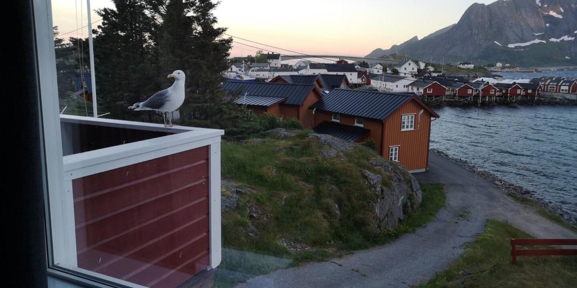 Lofoten Panoramic Luxury Home With Sauna Moskenes Bagian luar foto