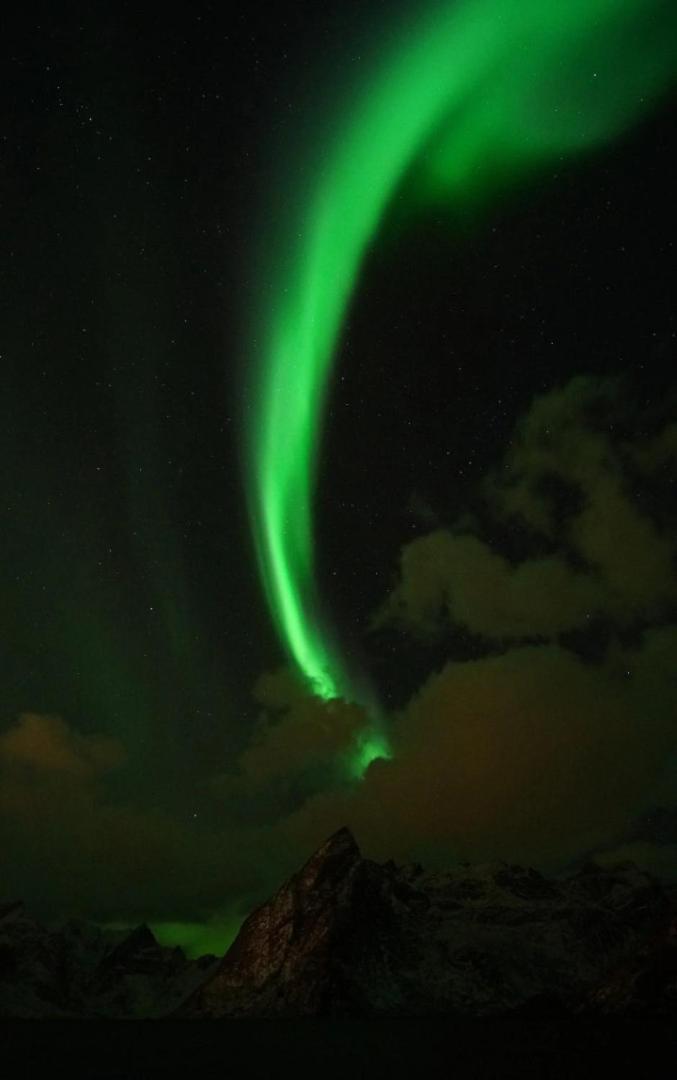 Lofoten Panoramic Luxury Home With Sauna Moskenes Bagian luar foto